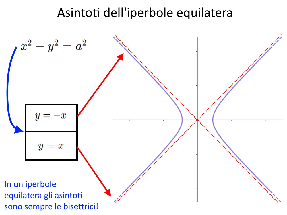asintoti nella iperbole equilatera bisettrici