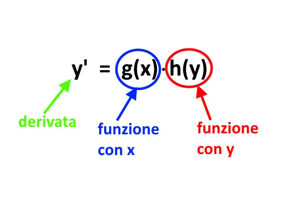 equazione differenziale variabili separabili