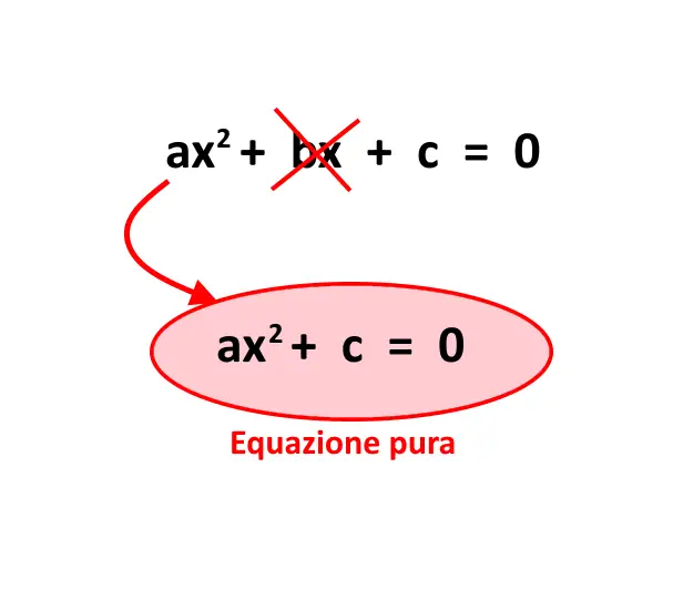 equazione pura definizione